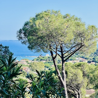 Entfliehen Sie zur Villa Thalassa: Ihr exklusives Rückzugsort an der Mittelmeerküste